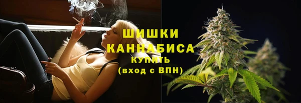 PSILOCYBIN Слюдянка