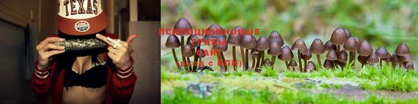 spice Балабаново