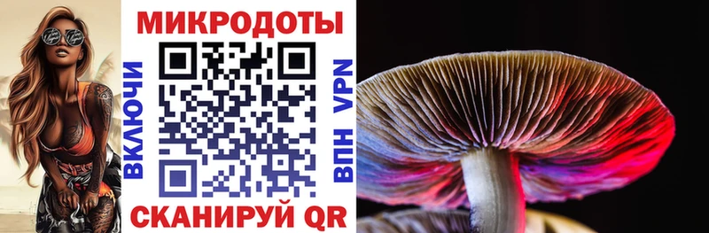 kraken рабочий сайт  Сенгилей  Галлюциногенные грибы Magic Shrooms 