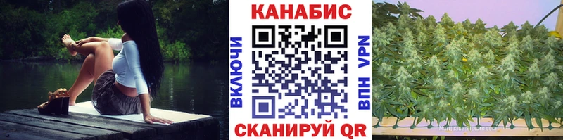 Конопля Amnesia  где купить   Сенгилей 